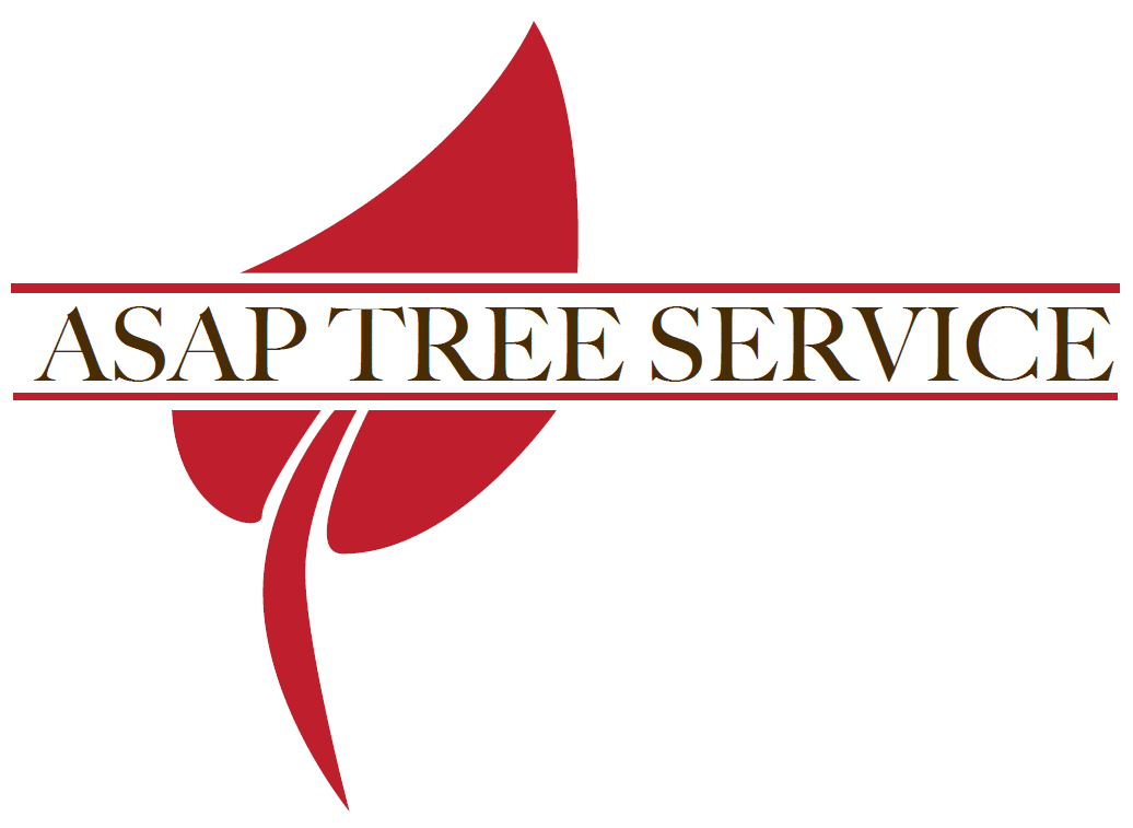 ASAP Tree Service logo